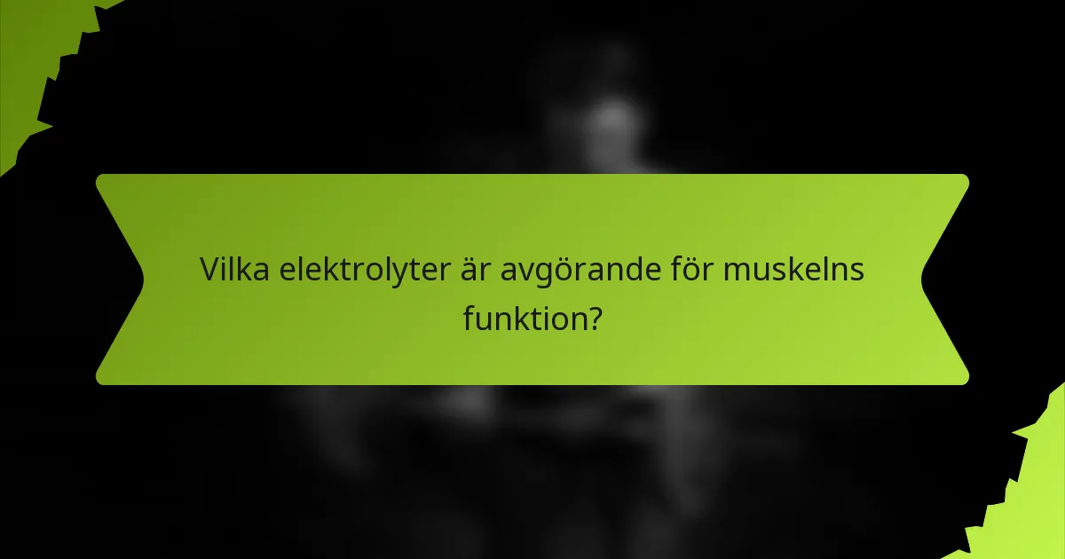 Vilka elektrolyter är avgörande för muskelns funktion?